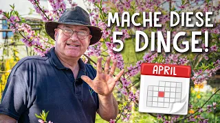 5 Gartenarbeiten, die du im April tun solltest! 🌱 - Fit fürs Frühjahr