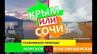 Морское VS Благовещенская | Сравниваем природу 🐟 Крым VS Сочи - что выбрать в 2019?