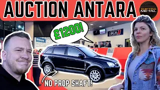 How Bad Is Sophie's latest UK Car Auction Purchase from BCA?!