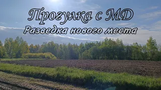 Прогулка с МД разведка нового места/ коп монет