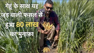 Profitable white Musli farming in india सफेद मूसली multicrop A to Z information