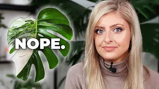 Throwing EVEN MORE Shade! | 7 MORE OVERHYPED HOUSEPLANTS!