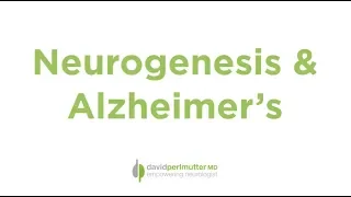 Neurogenesis & Alzheimer's: A Correlation?