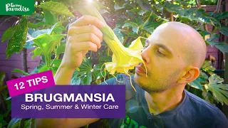 How to grow Brugmansia plants - Spring, Summer & Winter Tips!