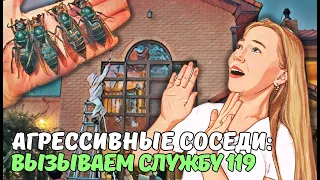 нападение АЗИАТСКИХ ШЕРШНЕЙ | капельницы для иммунитета | КОРЕЙСКИЕ БОЛЬНИЦЫ | korea vlog