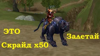 Scryde x50 - Улучшаем Дестра 🐲 игры в Lineage II 🐋