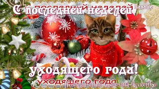 С последней неделей уходящего года!/ С добрым утром! /  Волшебной недели!/ Предновогодняя неделя!