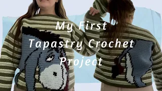 My First Time Doing Tapestry Crochet, a sweater based off my cat |M1