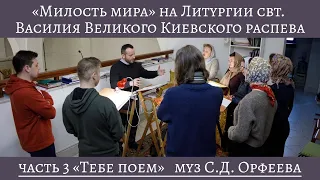 «Милость мира» на Литургии свт Василия Великого Киевского распева, часть 3 «Тебе поем»