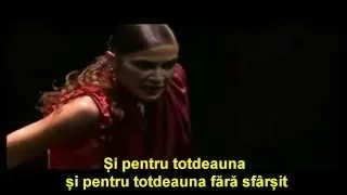 Tina Turner - Falling (tradus in romană)