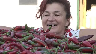 Naša priča ep. 172 07.12.2018. - Organska paprika, Telečka, Sombor