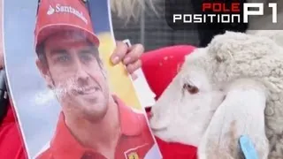 F1 2013 - Aussie the sheep predicts Vettel to win, Raikkonen second - Australian Grand Prix