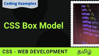 CSS Box Model | Web Development (Tamil) | Box model controls web layout.