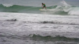 burleigh single fin mens open  2024 day 1