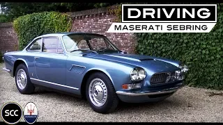 MASERATI SEBRING 3.5 GTI Injection 1965 - Test drive in top gear - Engine sound | SCC TV