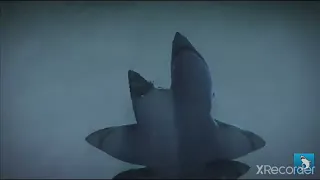 6-HEADED SHARK ATTACK / MUSIC VIDEO