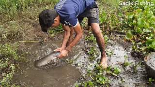 Big Hand Fishing. Amazing Boy Catch Big Catfish By Hand In  River. Best Hand Fishing