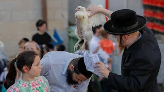 Ultra-Orthodox Jews wave chickens above their heads in centuries-old 'Kaparot' ritual