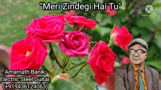 Meri Zindagi Hai Tu | Satyameva Jayate2 | Instrumental (Electric Steel Guitar)Cover | Amarnath Banik