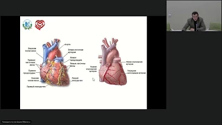 Запись вебинара «Эндоваскулярная хирургия при болях в сердце»