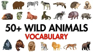 50+ Wild Animal Names You Need to Know! 🦁🐘🦓 #WildlifeWonders #animalnames  #Vocabulary #viral