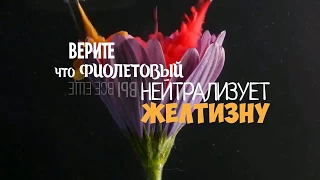 Желтый и зеленый VS фиолетовый. Нейтрализация желтизны.