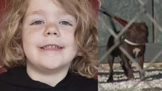 5-year-old boy dies after family's Pit Bull snapped without warning