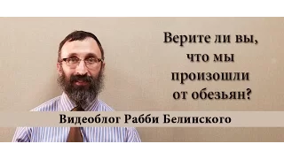 Верите ли вы что мы произошли от обезьян?