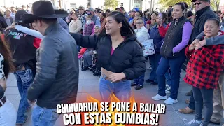 Chihuahua se pone a bailar con estas cumbias!🤩💃🏻🕺🏻