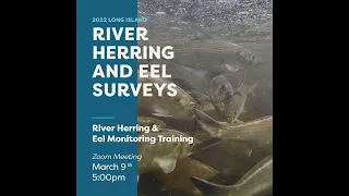 River Herring & American Eel Survey Training 03092022 South Shore
