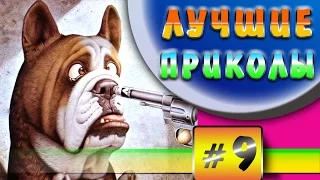 Лучшие приколы | Смешные собаки | Подборка видео