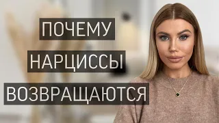 ПОЧЕМУ НАРЦИССЫ ВСЕГДА ВОЗВРАЩАЮТСЯ? 🤔