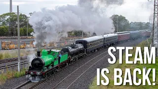 Steam Trains RETURN to Victoria's Mainline! (Steamrail's Y Not Try Again Tour) | Y112