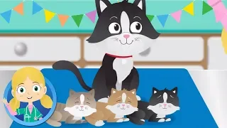 Sarah The Cat, Alice the Ant and Boris the Pufferfish | Doctor Poppy’s | Animal Cartoons for Kids