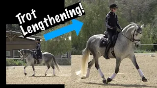Develop Your Trot Lengthening!