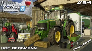 FEEDING CATS, DUCKS, HORSES, COWS, SHEEP & CALVES | Hof Bergmann | Farming Simulator 22 | Episode 34