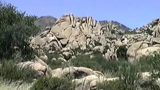 VHS Drive NM to AZ and CA 1998