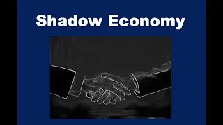 What is the Shadow Economy?