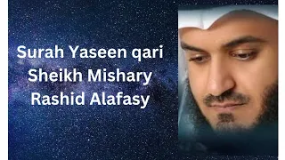 Surah Yaseen qari Sheikh Mishary Rashid Alafasy