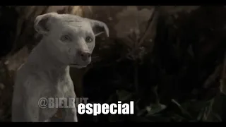 VOCÊ NÃO É ESPECIAL BUT !!