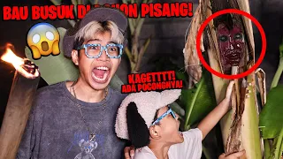 BIKIN JANTUNGAN!!! BAU BUSUK DI POHON PISANG TERNYATA ADA SARANG POCONG BENERAN! BOCIL GA GERAK!!!