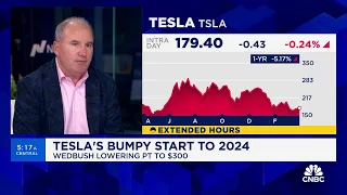 Tesla is going through a 'code red situation' right now, says Wedbush's Dan Ives