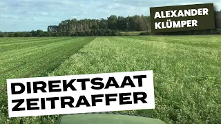 Direktsaat Gerste in Zwischenfrucht "Zeitraffer" 2 Monate