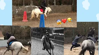 Bêtisier ! 🤪❤️les poneys se rebellent 🤣 !