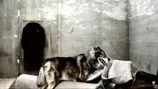 Vogue Italia Alyson Le Borges Wolf Video by Michel Comte