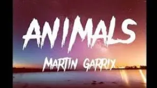 Matrix Garrix- Animals(1 Hour)||#animals #martingarrix #dj #viral #music #1hour #respect