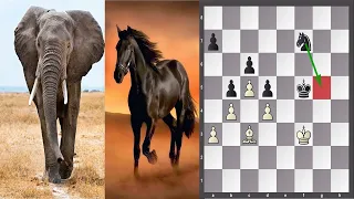 Шахматы для начинающих. Слон против коня. Шахматный урок. Когда Конь сильнее слона. 1 часть.