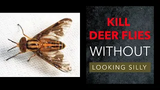 Deer Fly Control - Kill Deer Flies - Deer Flies Don't Stand a Chance !