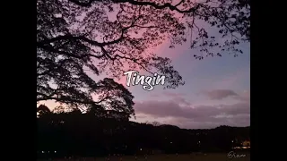 Tingin - Yohn (Lyric Video)