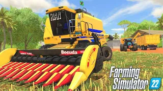 FINALIZANDO A COLHEITA DE MILHO || CAMPINA DAS MISSÕES || FARMING SIMULATOR 22 || #49 G29